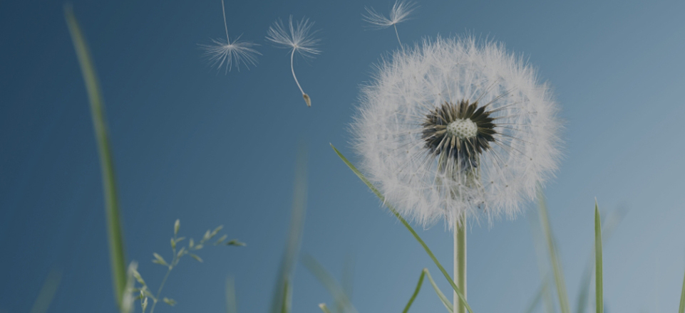 hg1088官网(中国)有限公司